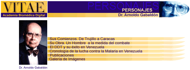  Cintillo Arnoldo Gabald�n