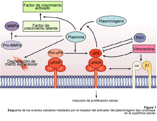 VITAE 25 - Bioquímica
